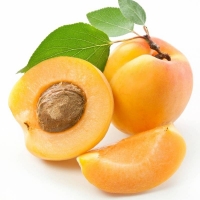 zingi абрикос apricot